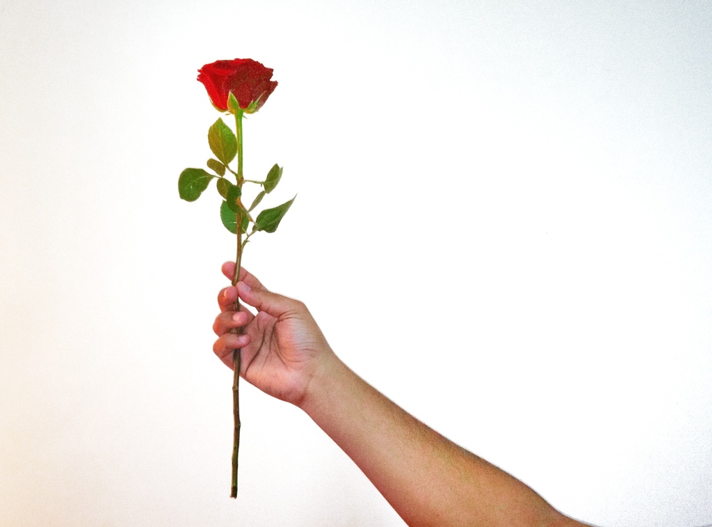 Rose gift